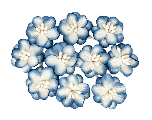 Цветки вишни, набор 10 шт Белый с синим